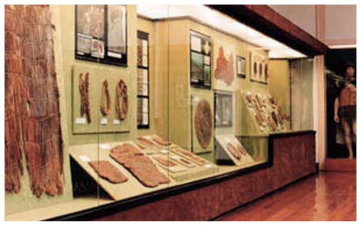 Canary Museum